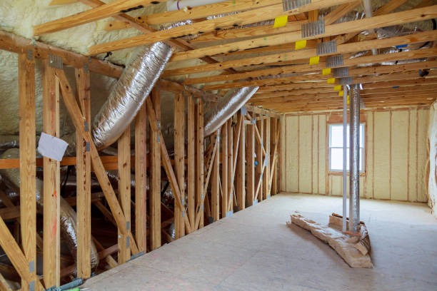 Best Insulation for New Construction  in Blackville, SC