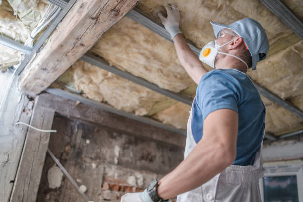 Best Insulation Inspection Services  in Blackville, SC