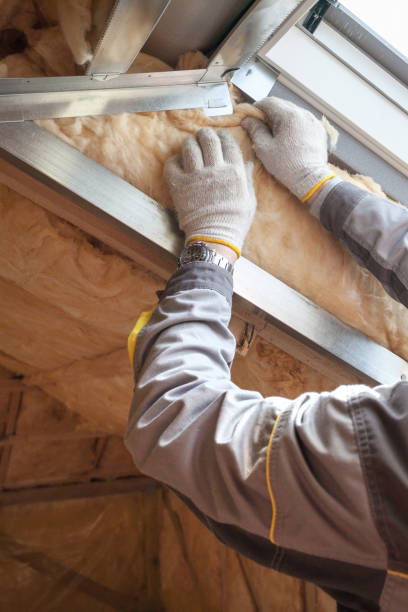 Best Soundproof Insulation Installation  in Blackville, SC
