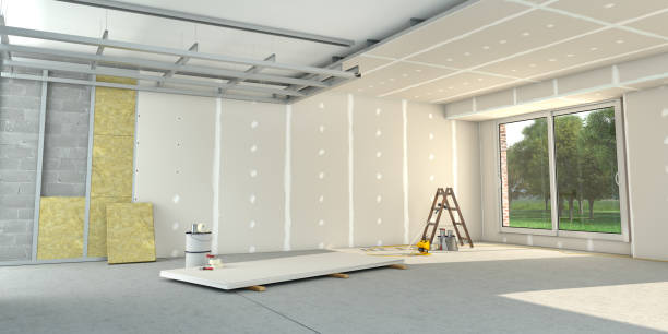 Best Local Insulation Services  in Blackville, SC