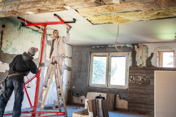 Best Spray Foam Insulation  in Blackville, SC