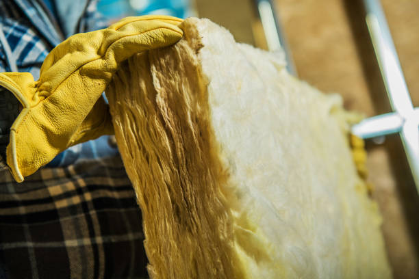 Best Residential Insulation Services  in Blackville, SC