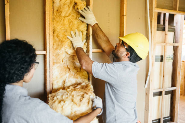Best Wall Insulation Contractor  in Blackville, SC