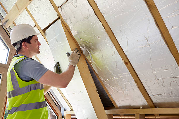 Best Energy-efficient Insulation  in Blackville, SC