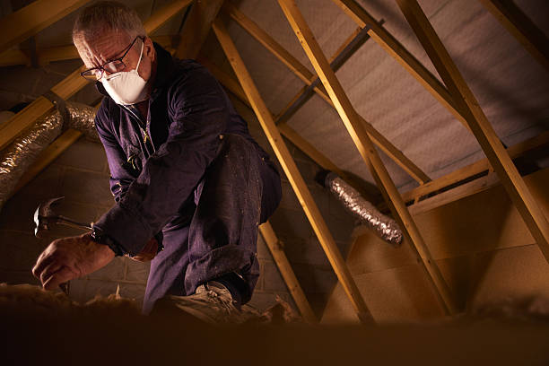 Best Garage Insulation Installation  in Blackville, SC